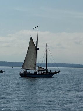 Meet your Posher, Preetha